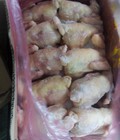 Hình ảnh: Chuyên Nhập khẩu Gà Nguyên Con Hàn Quốc