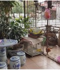 Hình ảnh: Cho thuê nhà ngõ 73 Hoàng Ngân 3tầng full nội thất