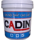 Hình ảnh: Sơn nội thất lau chùi cadin