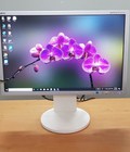 Hình ảnh: Màn hình NEC 22 inch MultiSync EA221WMe C HD