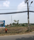 Hình ảnh: Bán đất Mt Tỉnh lộ 8 , Shr , Xây dựng tự do , Củ chi