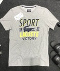 Hình ảnh: Áo thun nam Lacoste