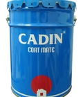 Hình ảnh: Sơn công nghiệp cadin 
