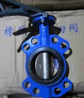 Hình ảnh: Van bướm tay gạt trung quốc