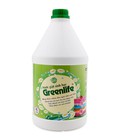 Hình ảnh: Combo nước giặt, nước rửa bát greenlife tặng kèm nước rửa tay