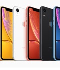 Hình ảnh: Đến ngay Tabletplaza mua Iphone XR full màu giá chỉ 18trxxx