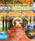 Hình ảnh: Hàn Quốc Seoul Nami Everland 4 ngày 4 đêm