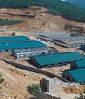 Hình ảnh: Tôi cần bán gấp khu trang trại nuôi lợn nái quy mô 2400 con, khép kín, thủ tục đầy đủ.