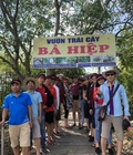 Hình ảnh: Du Lịch Cần Thơ một ngày bạn đã chọn được điểm đến chưa. Hãy đến Vườn Sinh Thái Bà Hiệp để có những trải nghiệm hấp dẫn.