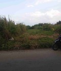 Hình ảnh: Cần bán đất nhà bè 450m2 đường xe hơi giá 1.75 tỷ