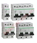 Hình ảnh: MCB Schneider A9N18358