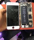 Hình ảnh: Sửa iphone 7 ko có dịch vụ ,ko có sóng ,ko nhận sim