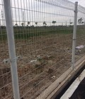 Hình ảnh: Lưới hàng rào cột tròn D5 mắt 50 150 và 50 200 giá hợp lý nhất
