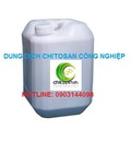 Hình ảnh: Chitosan bảo quản thực phẩm dạng bột  và dung dịch