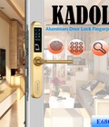Hình ảnh: Khoá vân tay cửa nhôm kính Kadol E6800