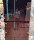 Hình ảnh: Tủ lạnh Hitachi R X7300F 730LIT Full Box New 100%
