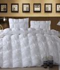 Hình ảnh: Ruột Chăn Lông Ngỗng Khách Sạn 95% Lông Down Cao Cấp 200*230