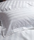Hình ảnh: Vỏ Gối Trắng Cotton Satin Khách Sạn PA9130
