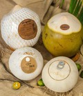 Hình ảnh: Dừa tươi Viconut xuất khẩu