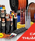 Hình ảnh: Cáp điện 3 pha Cadivi