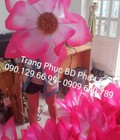 Hình ảnh: Xưởng bán hoa sen mua, hoa sen gắn đen, cánh sen, lá sen và cho thuê đaoạ cụ hoa sen các loại giá rẻ tại thủ đức