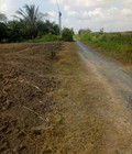 Hình ảnh: Chính chủ bán đất thổ vườn gần khu du lịch biển Tân Thành