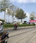 Hình ảnh: Bán đất Mt đường Tỉnh lộ 8 , Shr , Xây dựng tự do