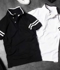 Hình ảnh: Áo polo HM xuất xịn chất liệu cotton siêu mát giải nhiệt mùa hè
