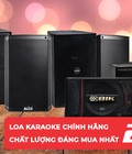 Hình ảnh: Top 10 loa karaoke chính hãng, chất lượng đáng mua nhất năm 2019