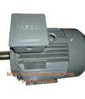 Hình ảnh: Động cơ Motor AESV 4P 1HP 0,75KW 3pha 50Hz .