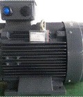 Hình ảnh: Động cơ Motor AESV 2P 50HP 37KW 3pha 50Hz .
