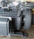 Hình ảnh: Động cơ Motor AESV 2P 40HP 30KW 3pha 50Hz .
