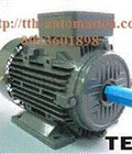 Hình ảnh: Động cơ Motor AESV 4P 3HP 2,2KW 3pha 50Hz .