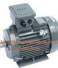 Hình ảnh: Động cơ Motor AESV LA 4P 15HP 11KW 3pha 50Hz .