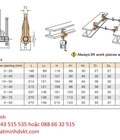 Hình ảnh: Kẹp Vít Me Screw cam clamp double eyes type