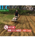 Hình ảnh: máy cày xới đất trâu vàng