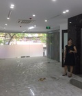 Hình ảnh: Cho thuê MB 75m2 Phố Kim Mã Thượng, Ba Đình.