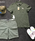 Hình ảnh: Áo Polo Abercrombie AP904