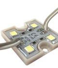 Hình ảnh: Module 4 bóng 3535 đế nhựa 5054SMD trắng Led Hiệp Tân Vật tư led