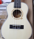 Hình ảnh: Đàn ukulele G DANUBE 23Sm