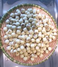 Hình ảnh: Hạt sen tươi Huế