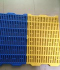 Hình ảnh: Chuyên sản xuất và phân phối tấm nhựa lót sàn heo 40x55