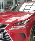 Hình ảnh: Phủ gốm Ceramic Pro tại Vinh cho Lexus NX300