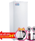Hình ảnh: Tủ Đông Đứng Alaska 250 Lít If 25 Nhôm R600a