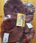 Hình ảnh: Nấm Linh Chi Đỏ Hàn Quốc 1kg
