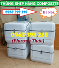 Hình ảnh: Thùng ship hàng Composite cao cấp, Thùng ship hàng sau xe máy