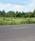 Hình ảnh: Đất nền gần mỹ phước 3, 500m2 giá 450tr