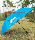 Hình ảnh: Ô Dù Cầm Tay Cao Cấp
