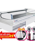 Hình ảnh: Tủ Mát Quầy Thịt Nguội Alaska Dkm 20 Đồng R404a