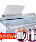 Hình ảnh: Tủ Mát Quầy Thịt Nguội Alaska Gnf 20m R404a